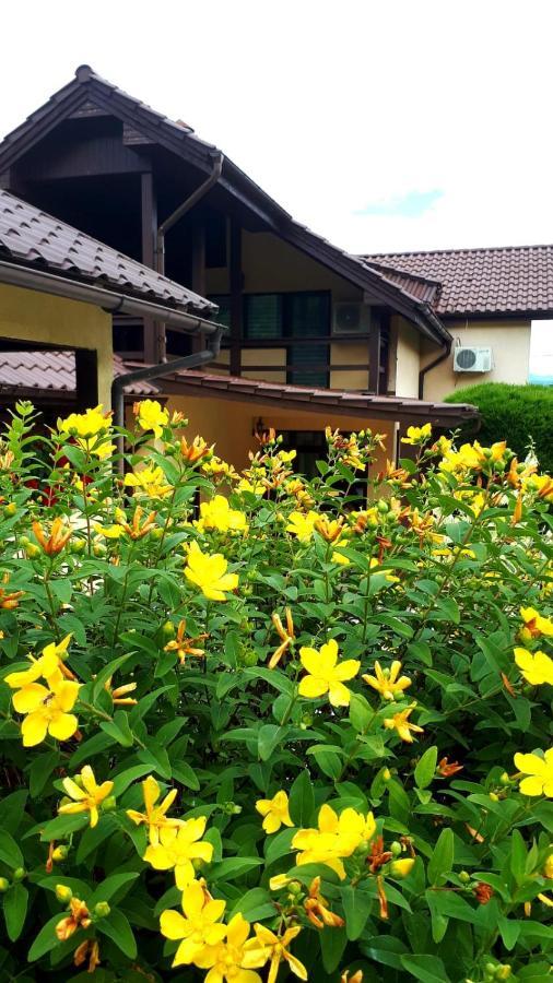 Silva House Hotel Deva Exterior photo