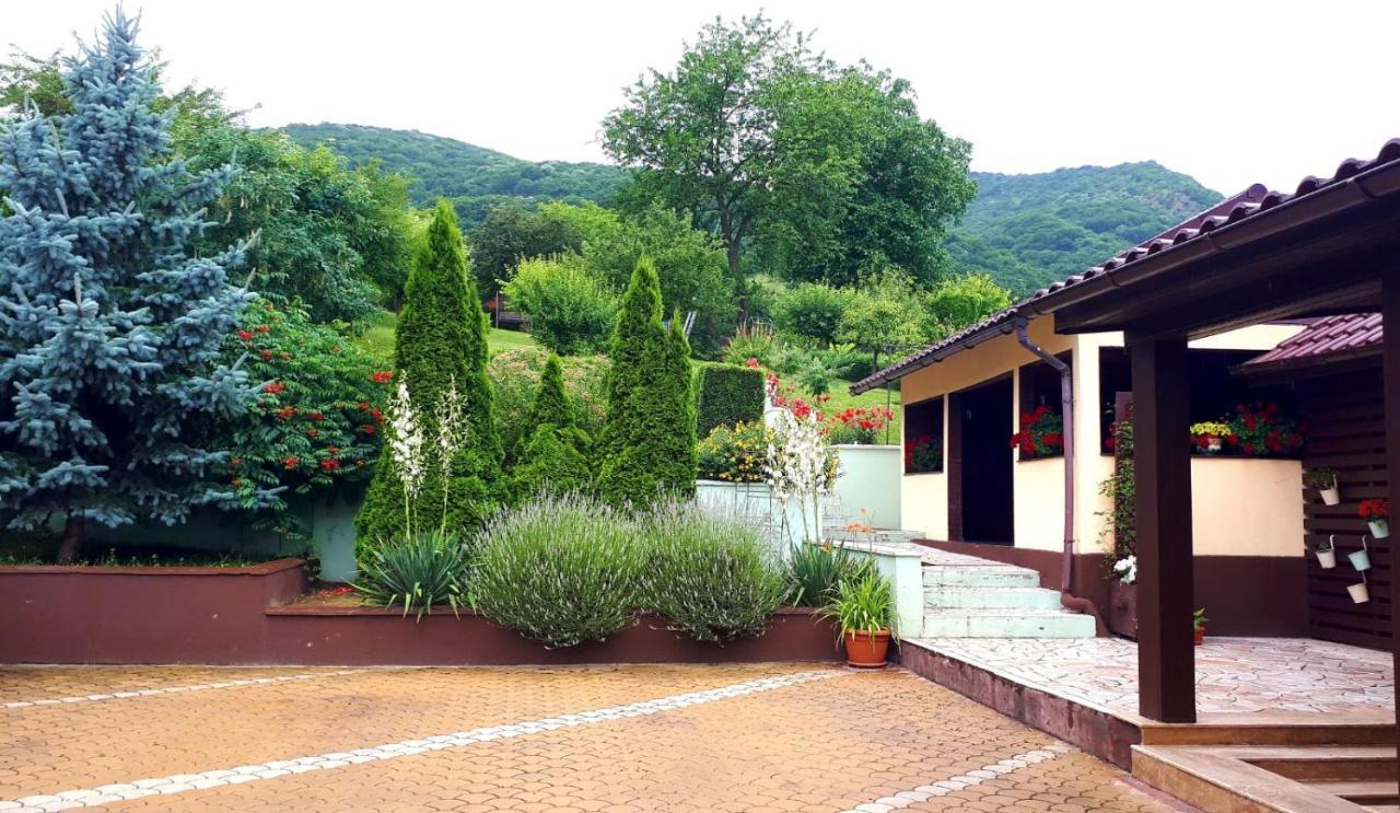 Silva House Hotel Deva Exterior photo